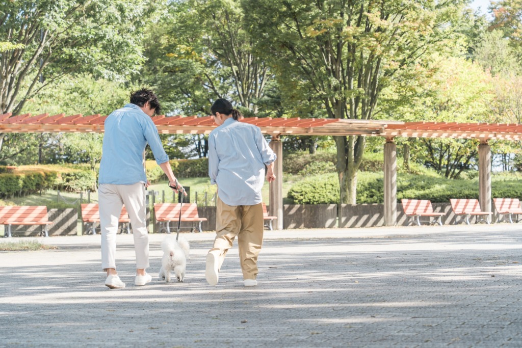 犬と散歩する夫婦